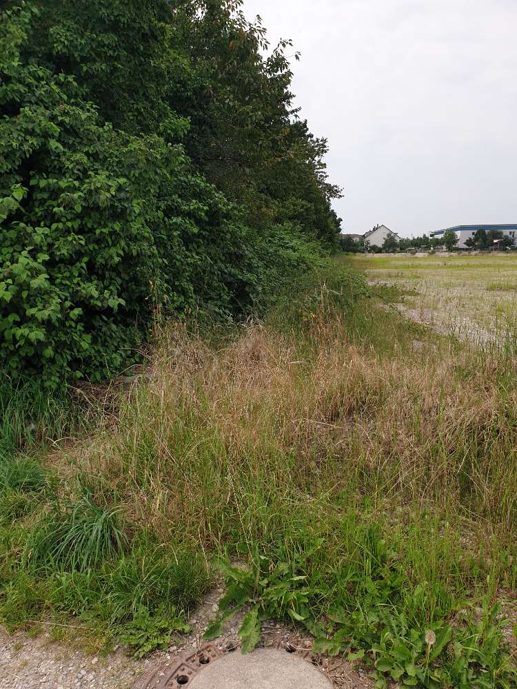 Giftköder-Trockenfutter-Profilbild