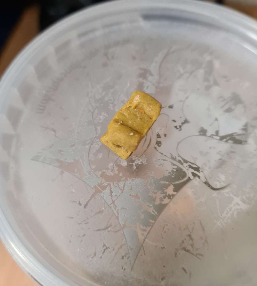 Giftköder-Leckerlies verstreut-Profilbild