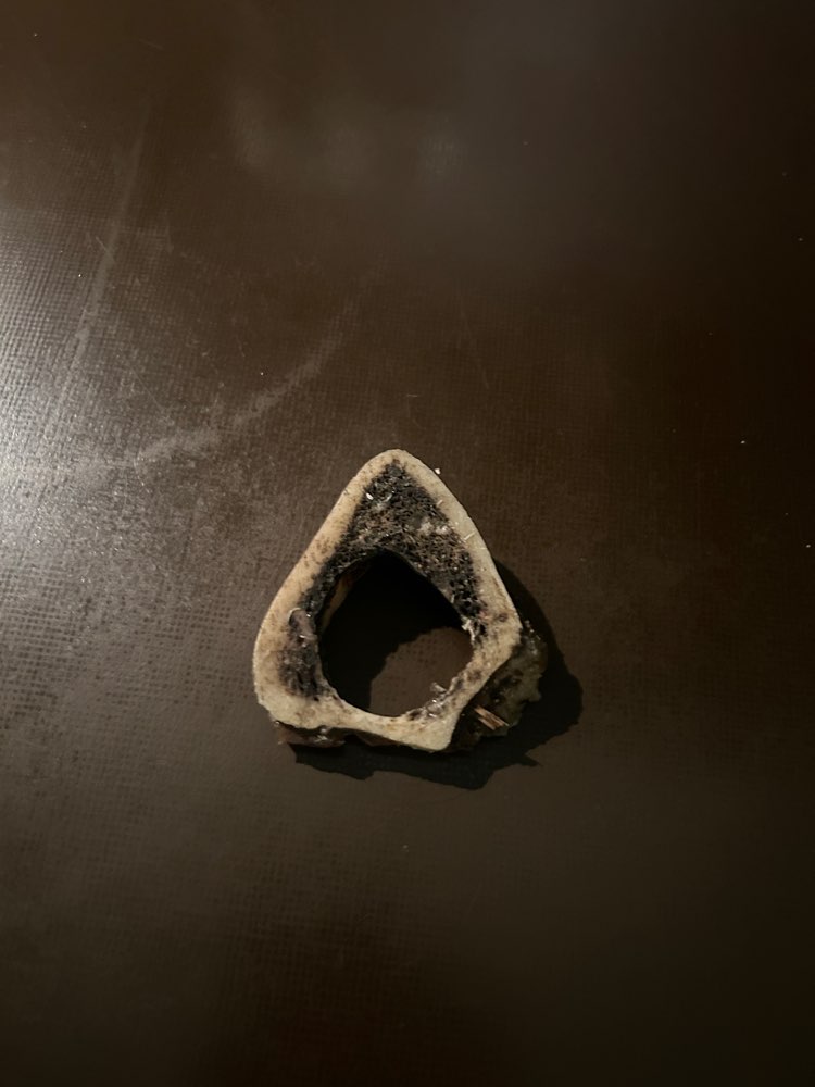 Giftköder-KNOCHENMARK GIFTKÖDER-Profilbild