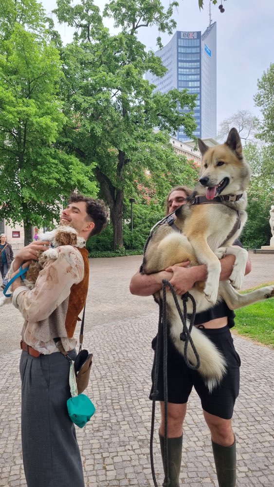 Hundetreffen-Welpe sucht Spielgefährten - Leipzig-Profilbild