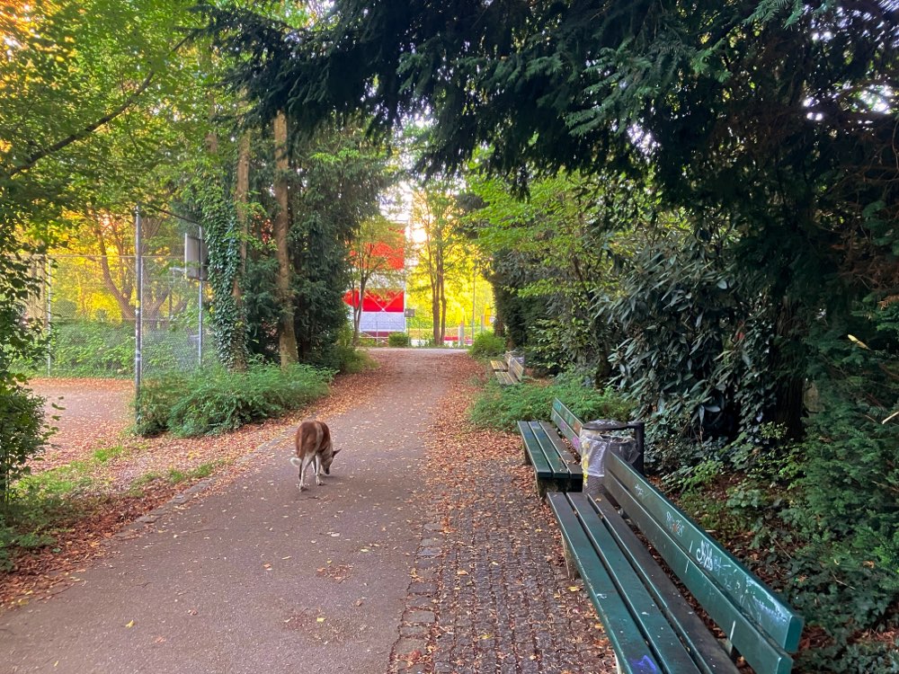 Giftköder-Würschtel und Schlagfallen-Profilbild