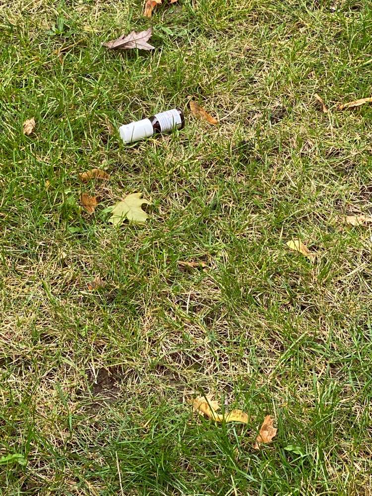 Giftköder-Medizinflasche-Profilbild