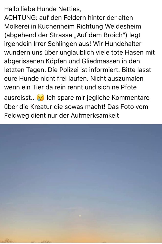 Giftköder-Drahtschlingen ausgelegt-Profilbild