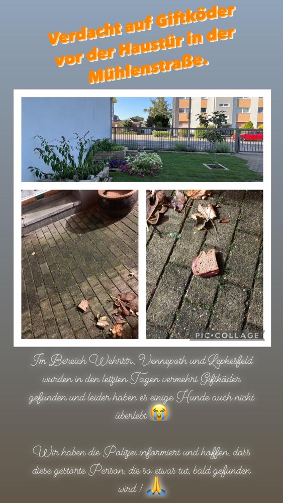 Giftköder-Salamibrot-Profilbild