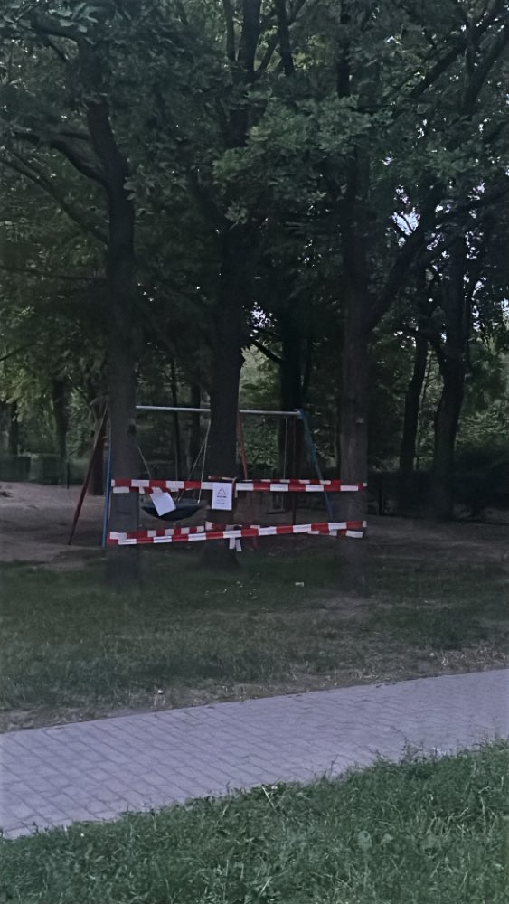 Giftköder-Eichenprozessionsspinne-Profilbild