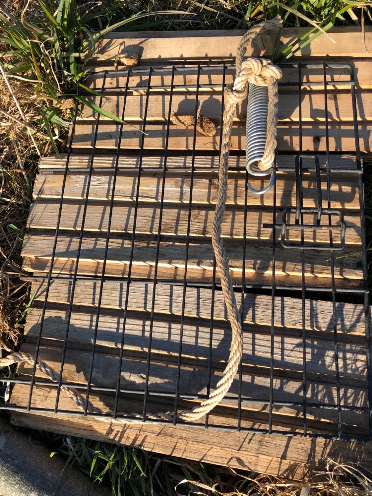 Giftköder-Giftköderfalle-Profilbild