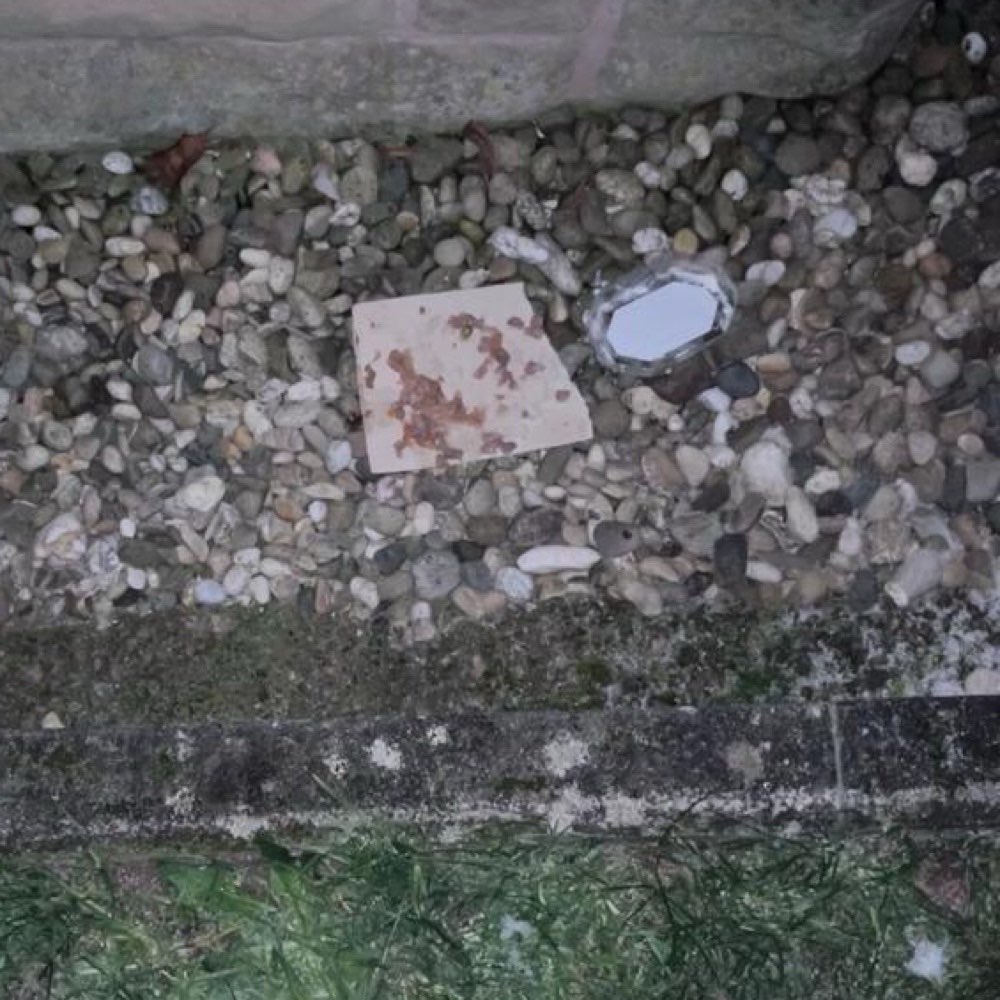 Giftköder-Potentieller Giftköder-Profilbild