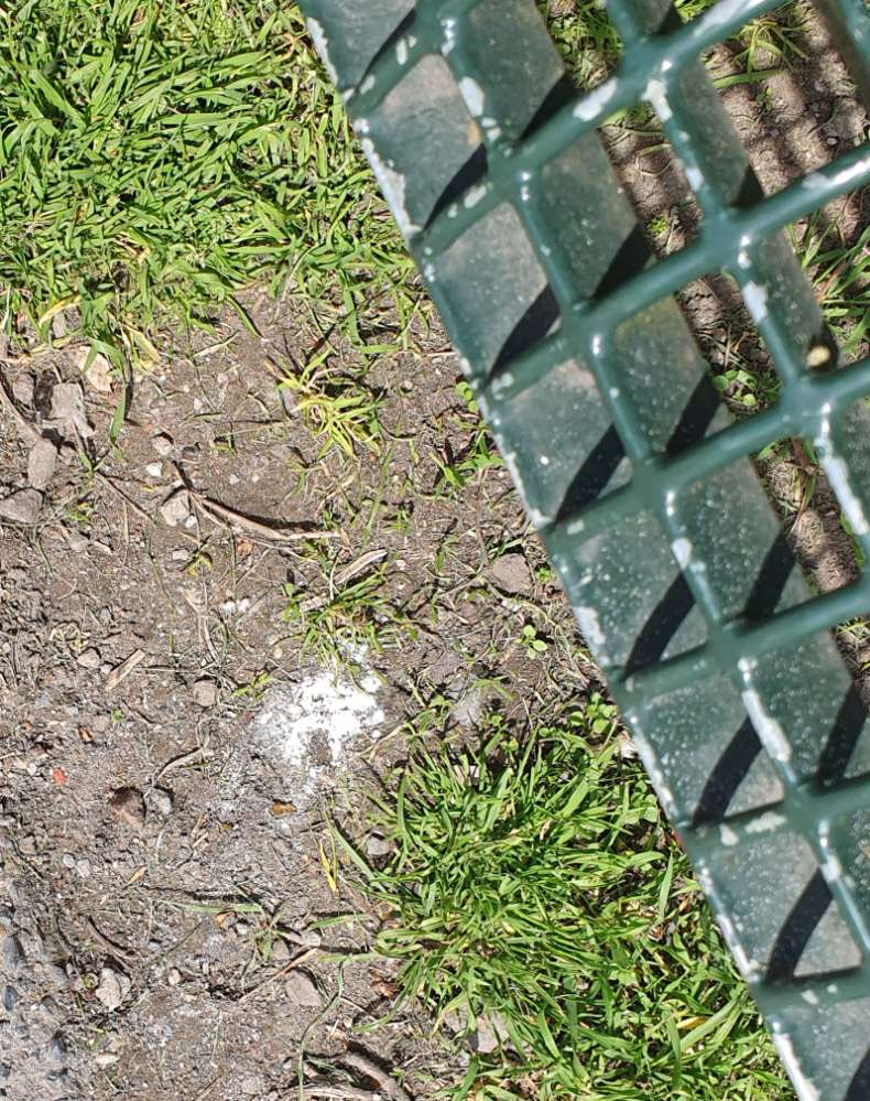 Giftköder-Weißes Pulver unter Parkbank-Profilbild