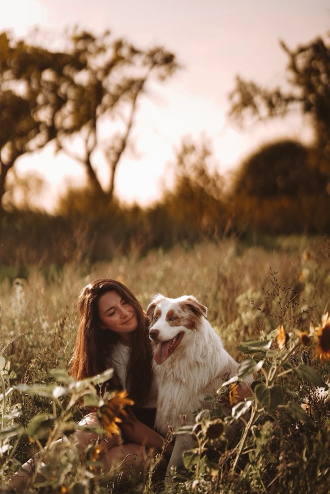 Hundetreffen-Gassi-Treffen-Profilbild