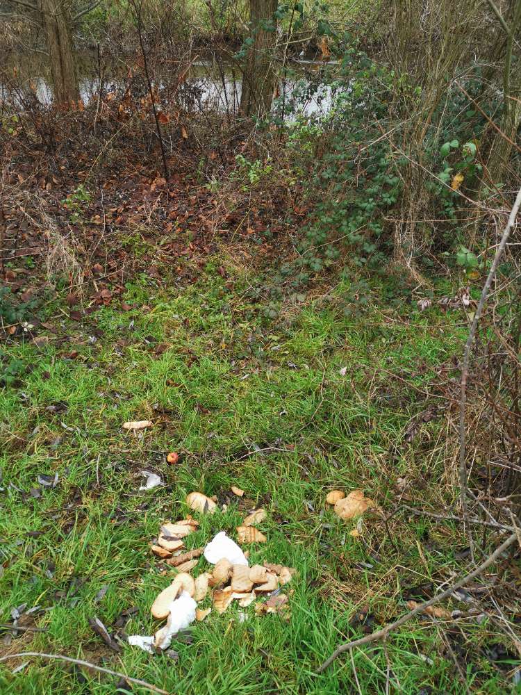 Giftköder-Lebensmittelreste an der Dhünn-Profilbild