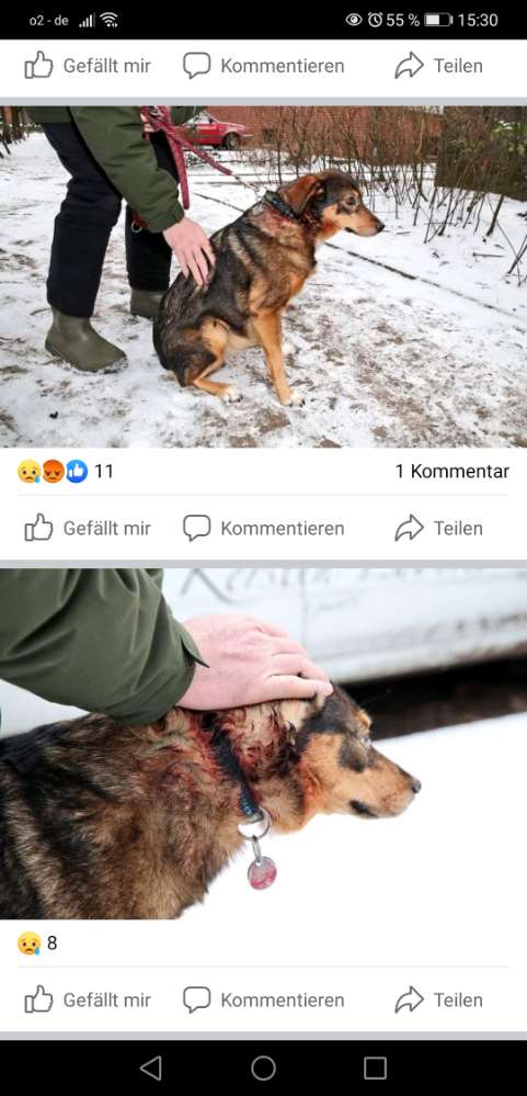 Giftköder-Gotcha Pistole-Profilbild