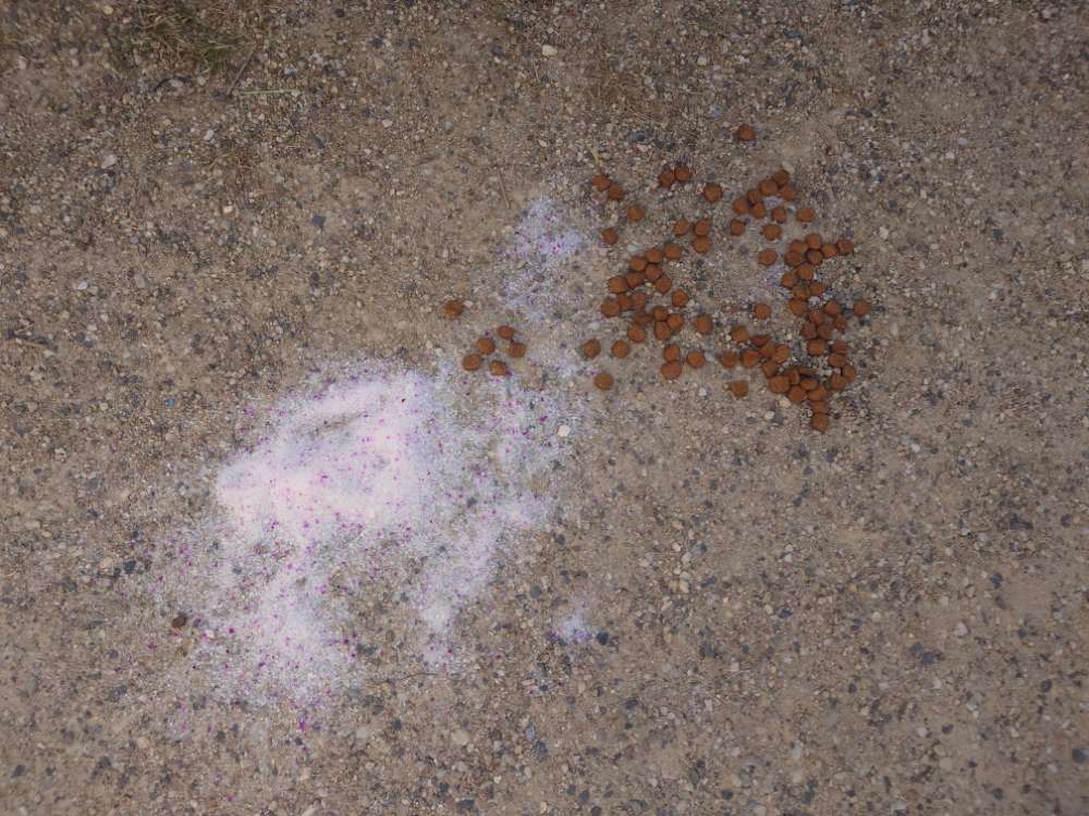 Giftköder-Verdacht auf Giftköder-Profilbild