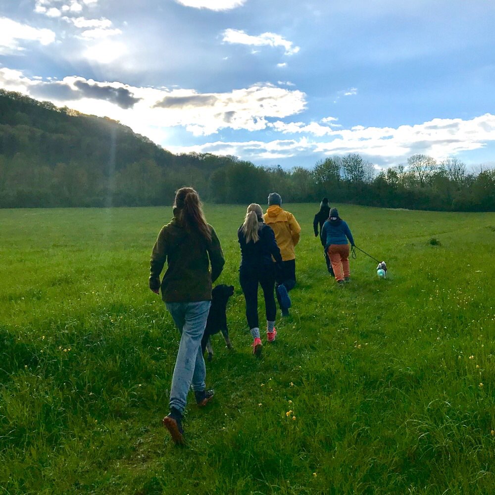 Hundetreffen-Bauch Beine Pfoten-Profilbild