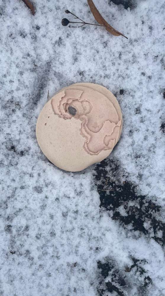 Giftköder-Giftköder-Profilbild