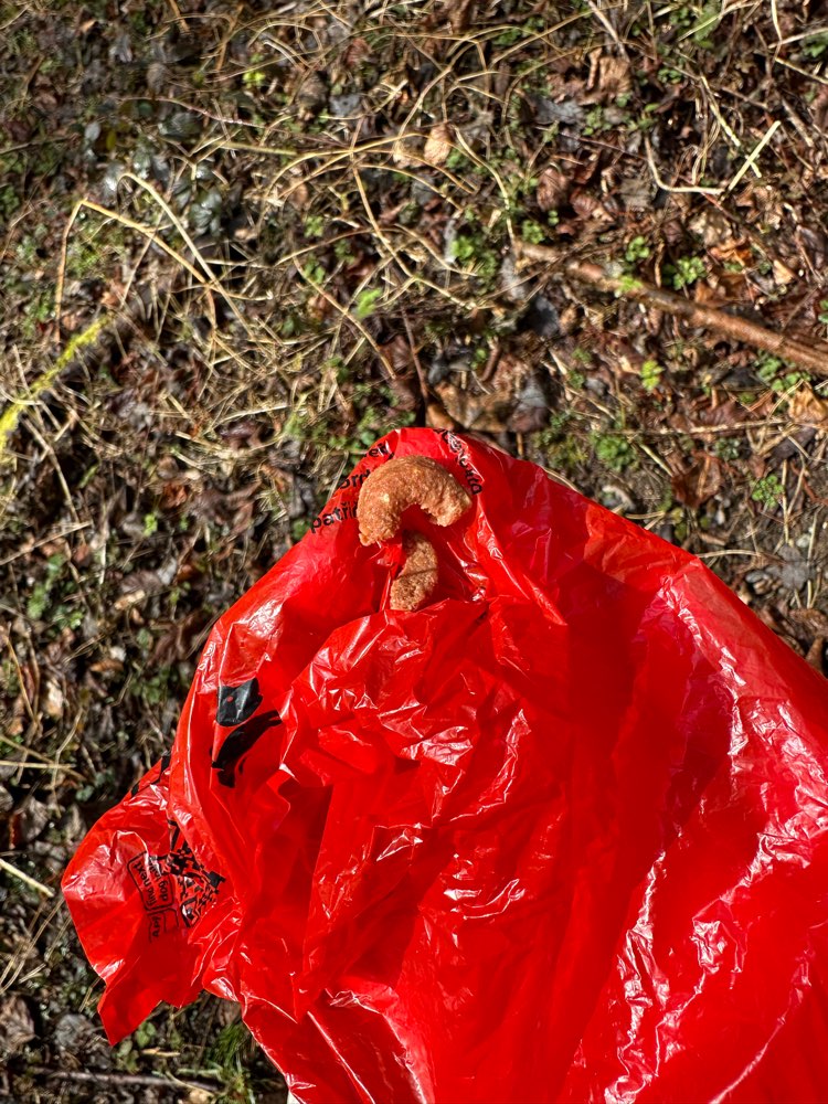 Giftköder-Giftköder-Profilbild