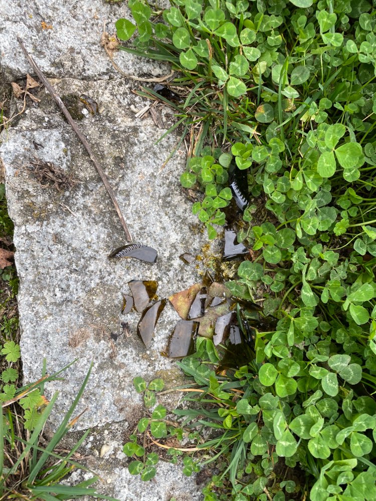 Giftköder-Glasscherben-Profilbild