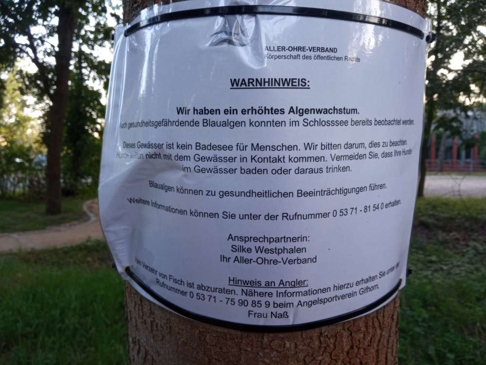 Giftköder-Blau Algen-Profilbild