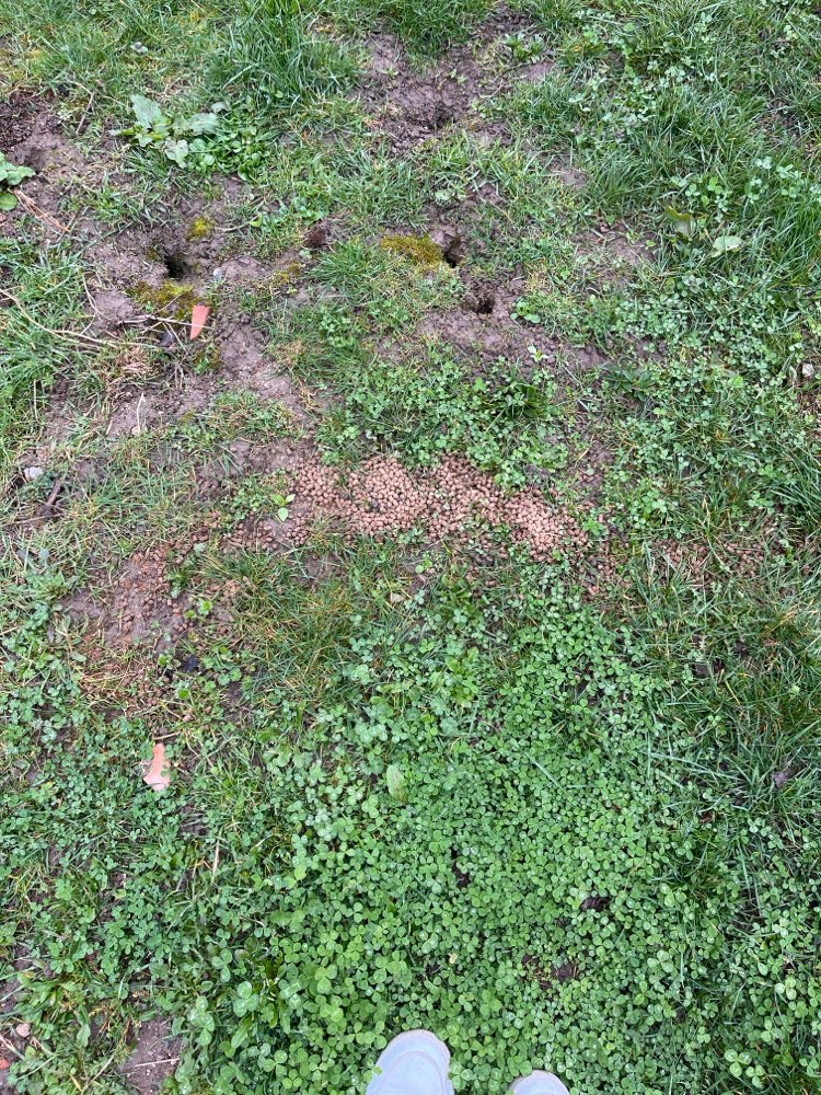 Giftköder-Dünger-Profilbild