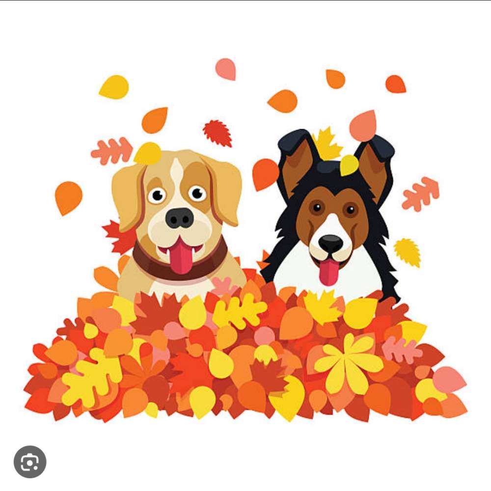 Hundetreffen-Hundespaß für Groß und Klein-Profilbild