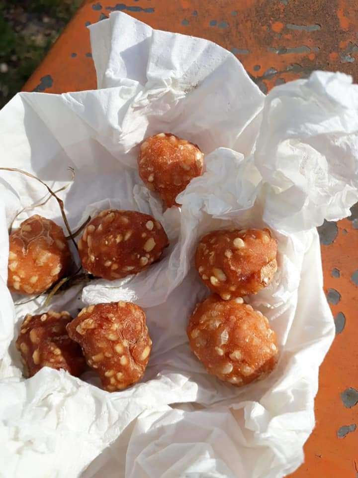 Giftköder-Giftköder-Profilbild