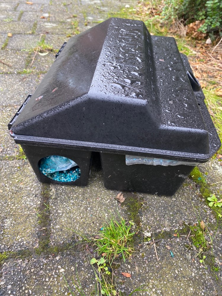 Giftköder-Rattenfalle mit Rattengift au dem Boden-Profilbild