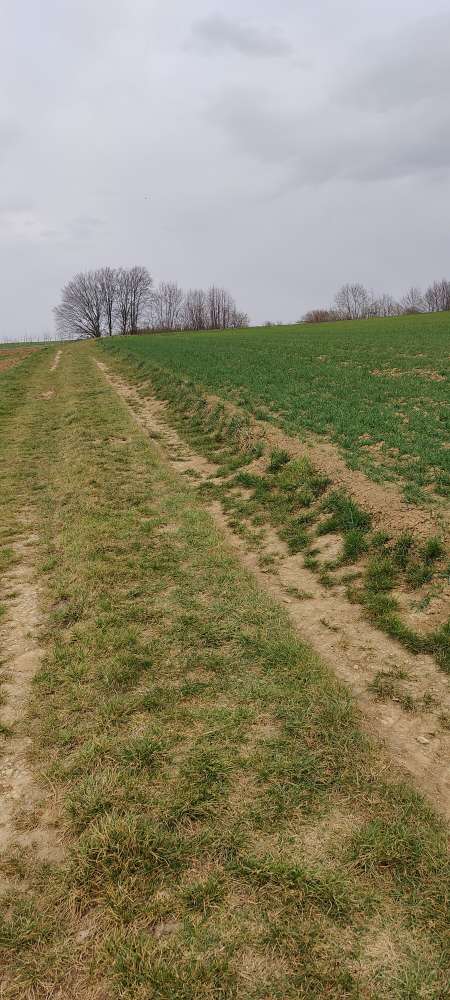 Giftköder-Achtung! Weiße Düngerkügelchen!!!-Profilbild