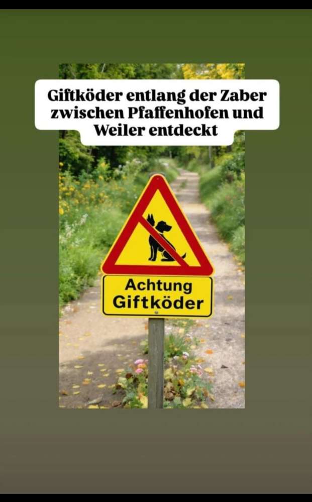 Giftköder-Gift entlang der Zaber-Profilbild