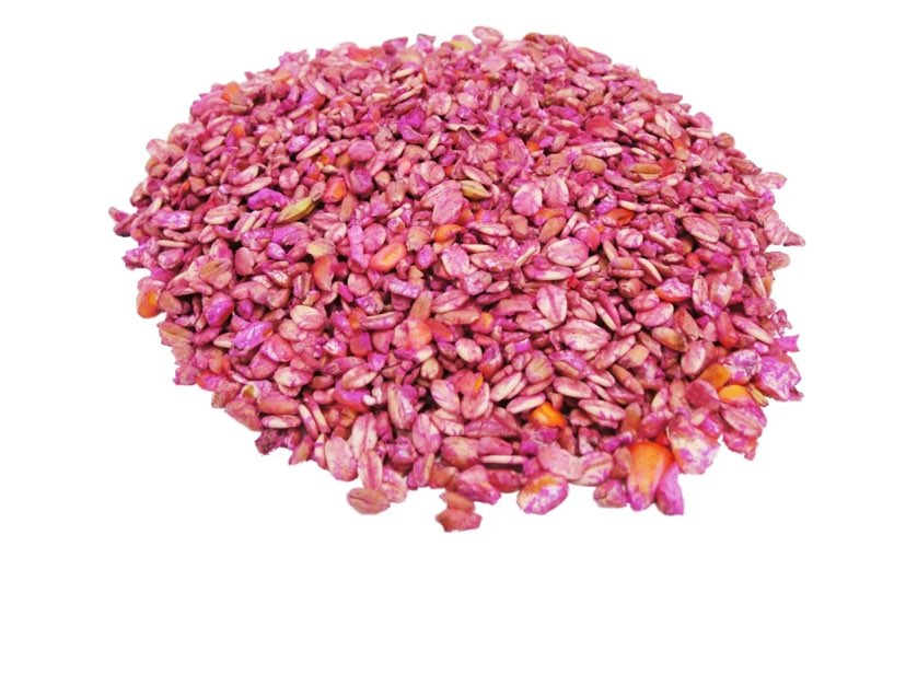 Giftköder-Rattengift-Profilbild