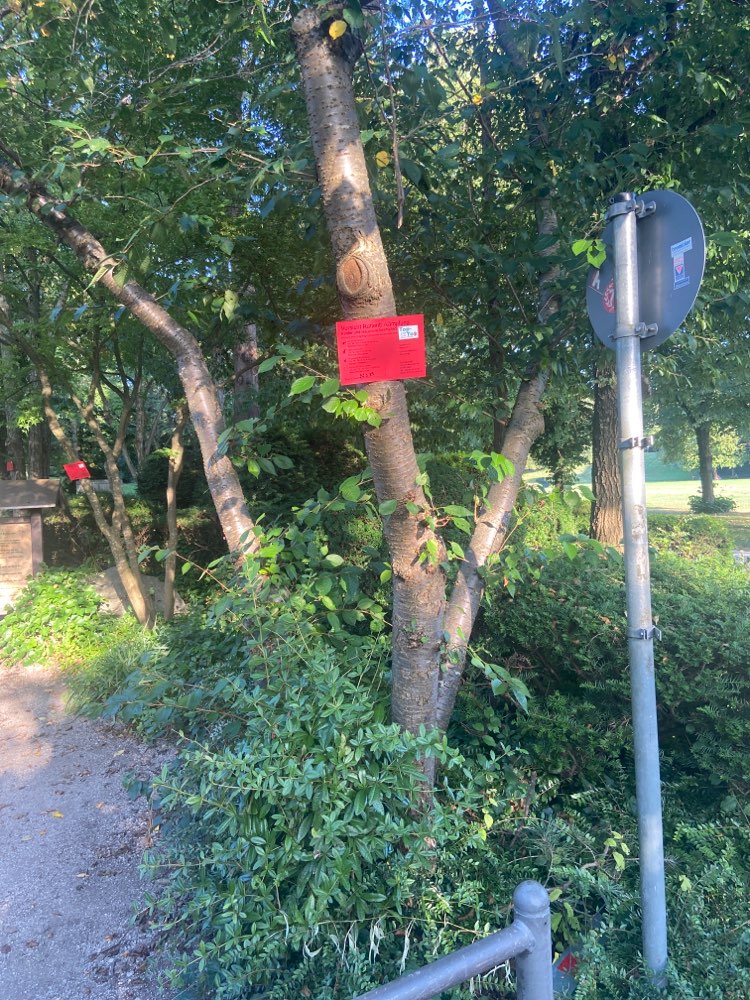 Giftköder-Rattengift-Profilbild