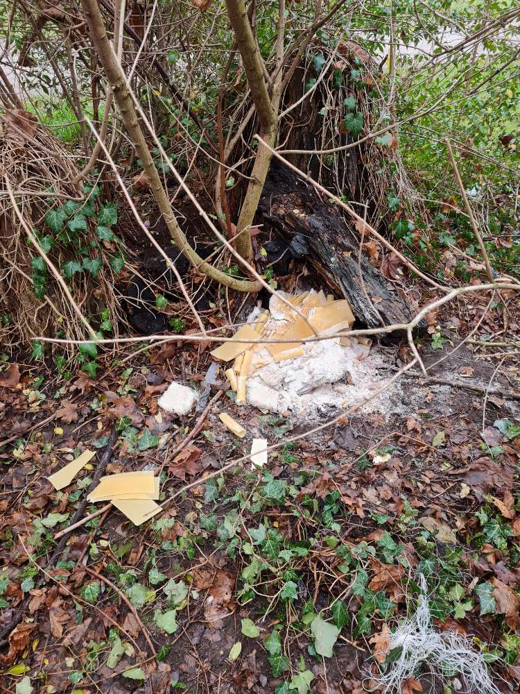 Giftköder-Lebensmittelhaufen - unklar, ob giftig-Profilbild