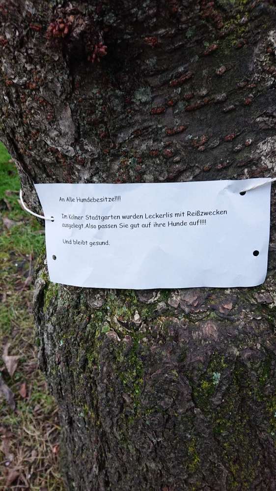 Giftköder-Leckerlis mit Reißzwecken-Profilbild