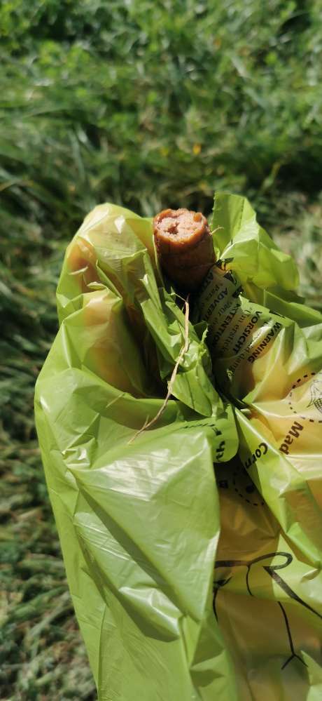 Giftköder-Würstchen - Vermutlich GIFTKÖDER?-Profilbild