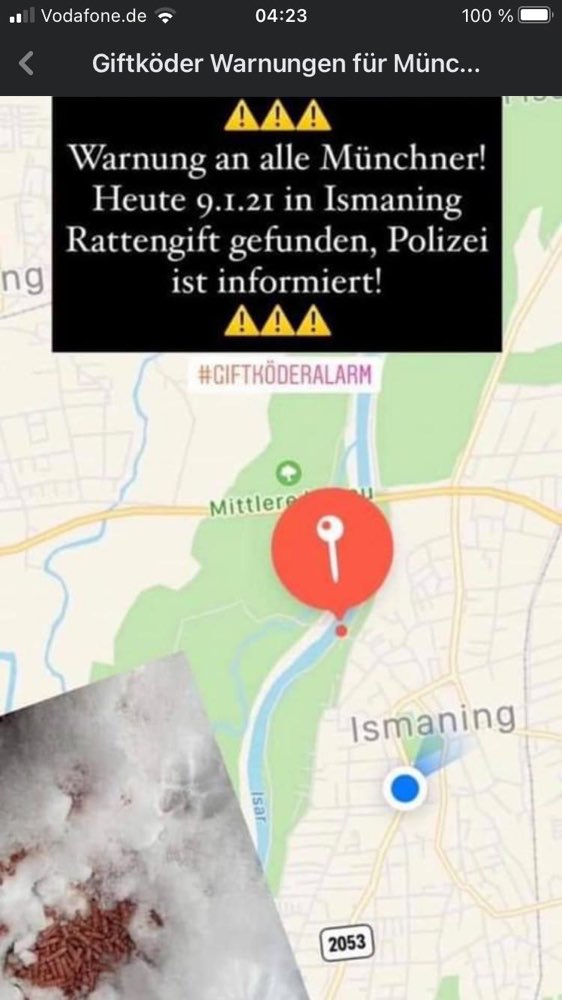 Giftköder-Giftköder mit Rattengift-Profilbild