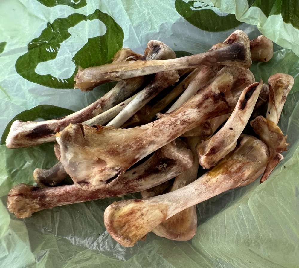 Giftköder-Knochen (Geflügel) am Waldweg-Profilbild