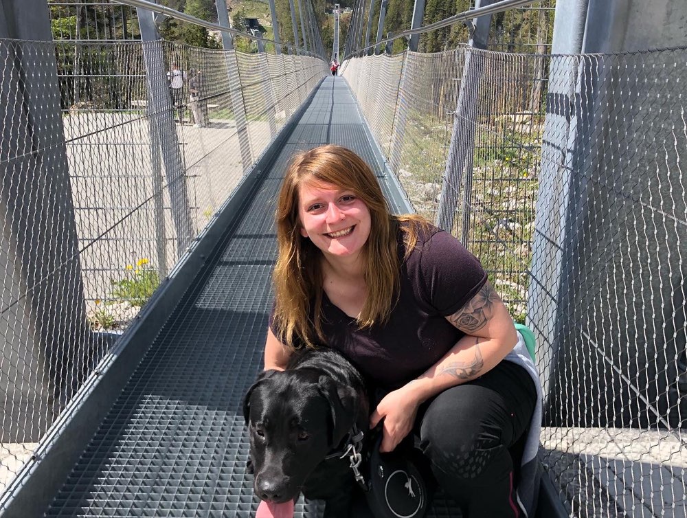 Hundetreffen-Social Walk / Training / Playdates-Profilbild