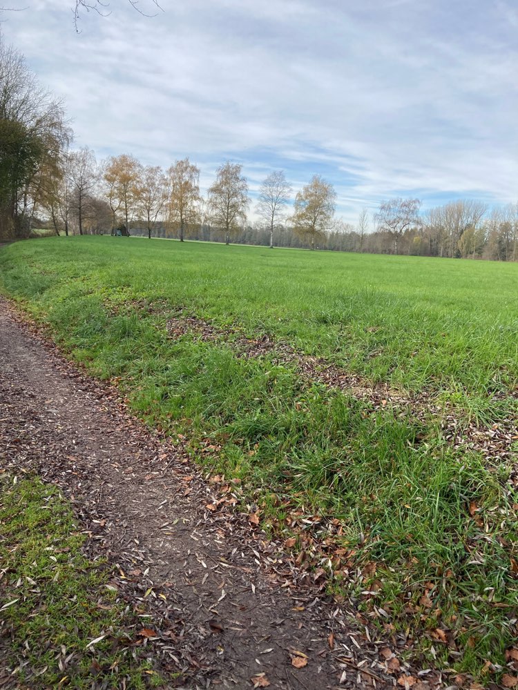 Giftköder-Absichtlich ausgelegte Glasscherben-Profilbild