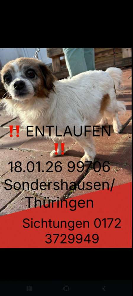 Suchmeldung-Linda-Profilbild