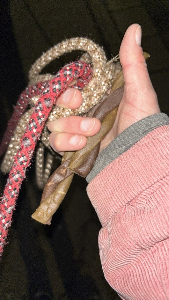 Giftköder-Kaustangen an Straßenrand entdeckt-Profilbild