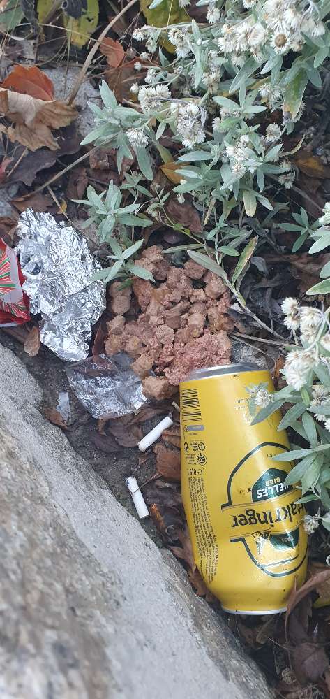 Giftköder-Futterhaufen-Profilbild