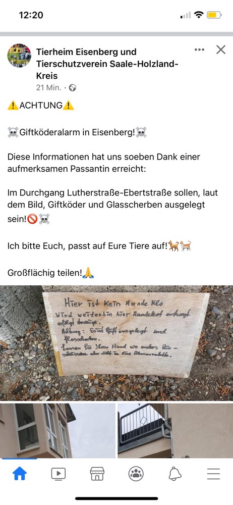 Giftköder-Giftköder und Glasscherben-Profilbild