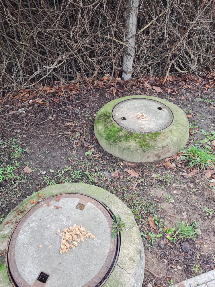 Giftköder-Verdächtige Brotkrumen-Profilbild