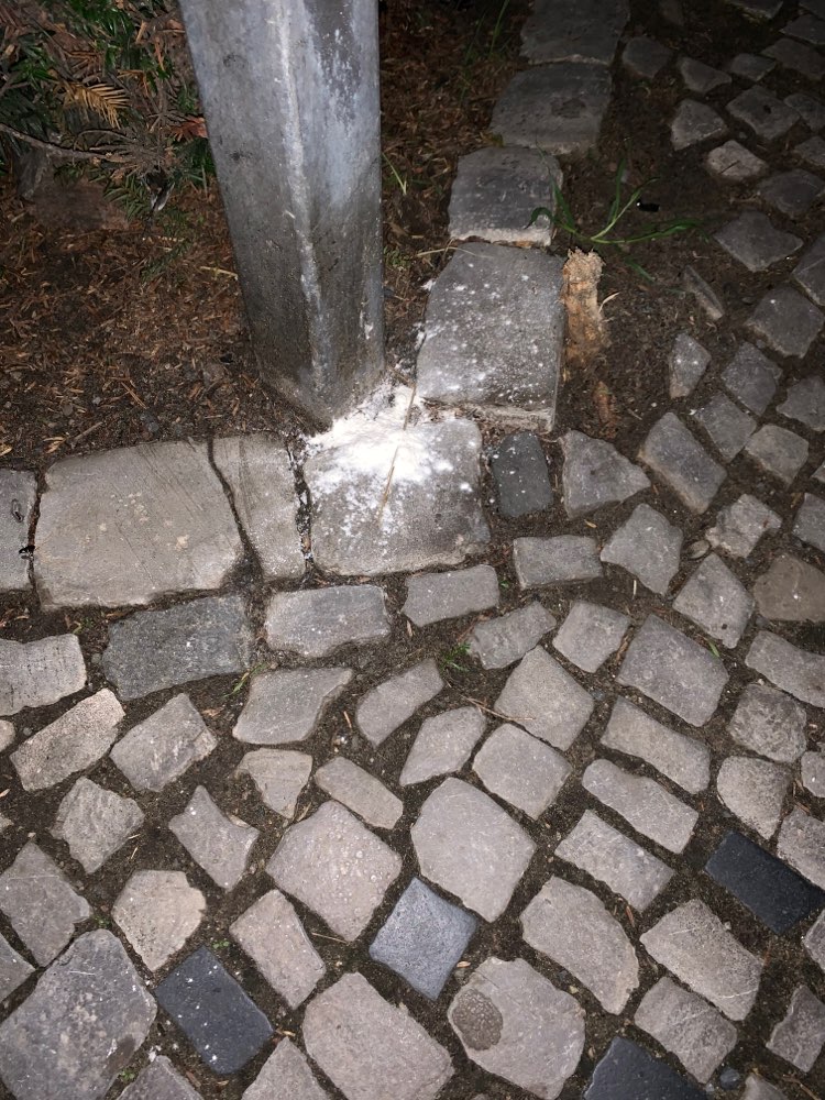 Giftköder-Vermutlich Alphachloralose-Profilbild