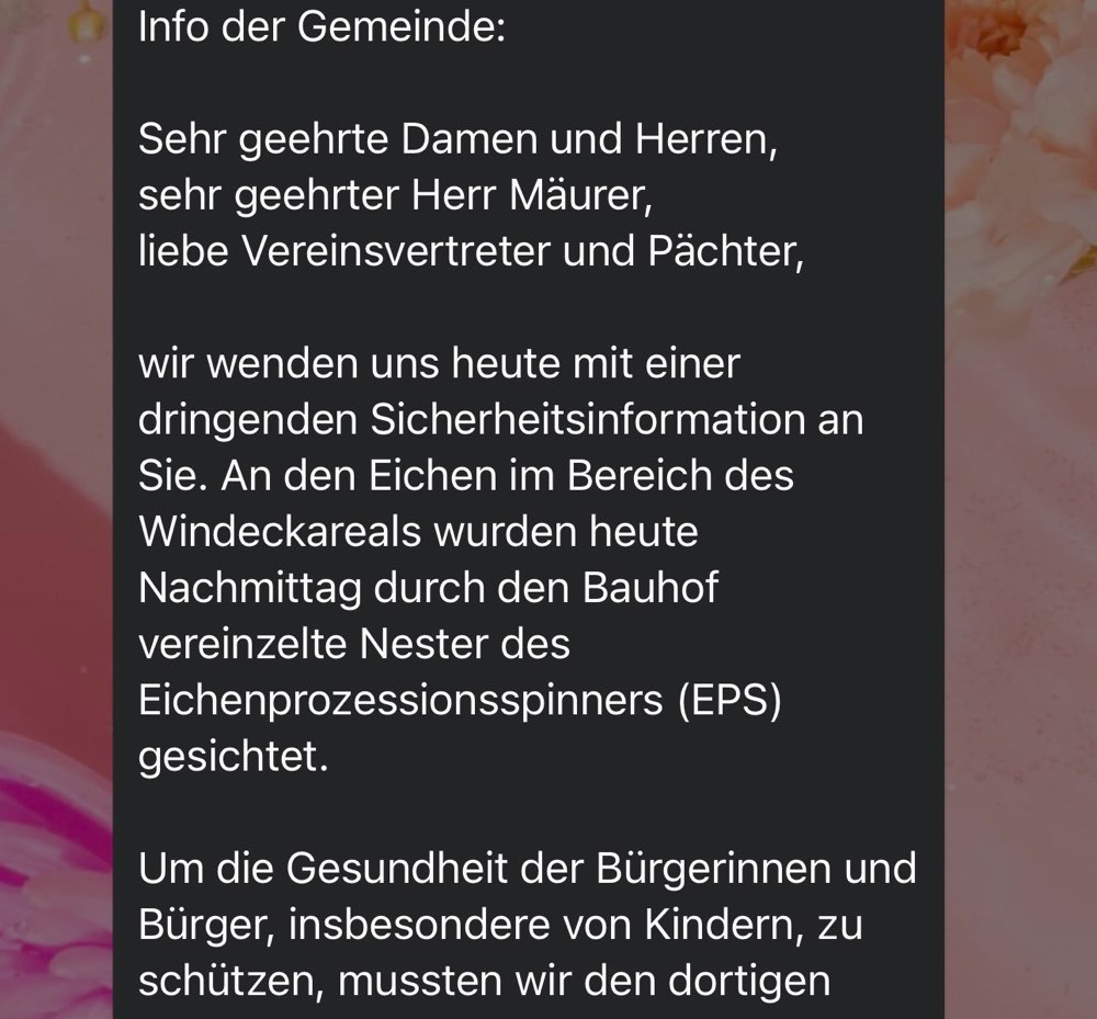 Giftköder-Eichenprozessionsspinner-Profilbild