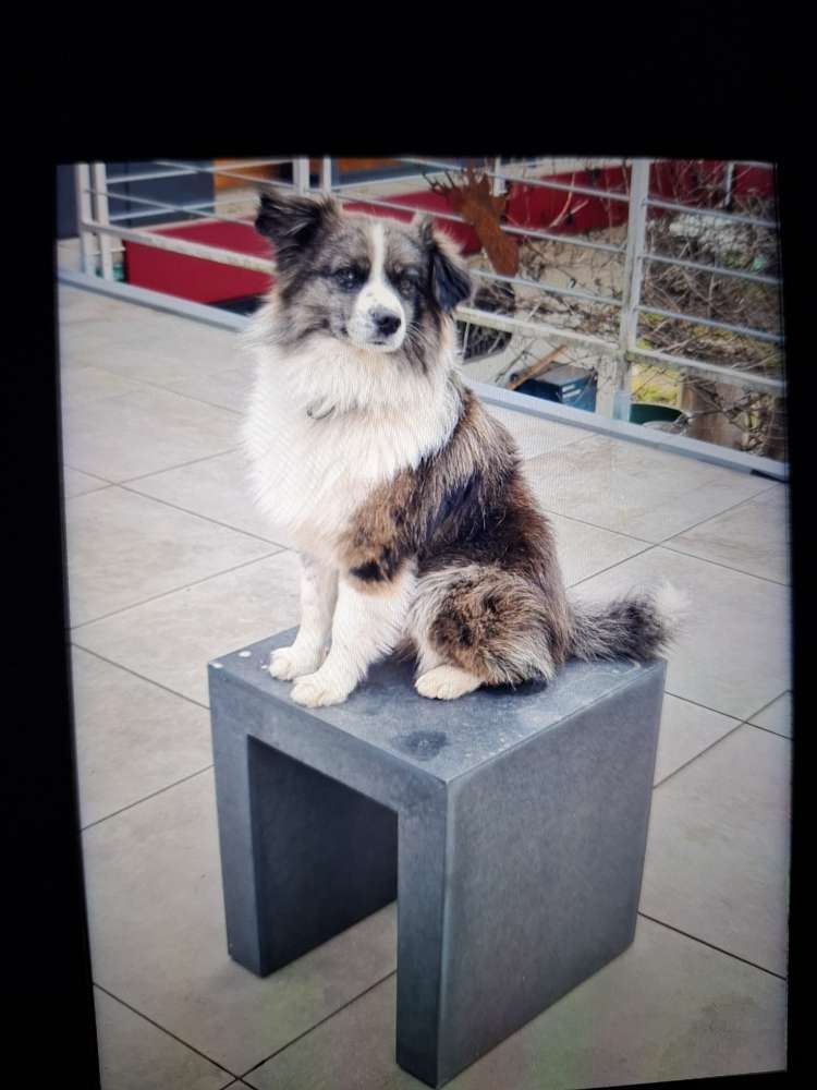 Suchmeldung-Jack-Profilbild