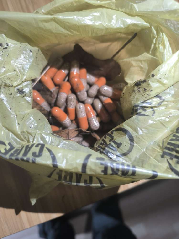 Giftköder-Medikamentekapseln-Profilbild