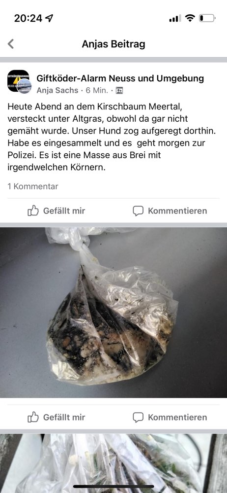 Giftköder-Eventuell Giftköder-Profilbild