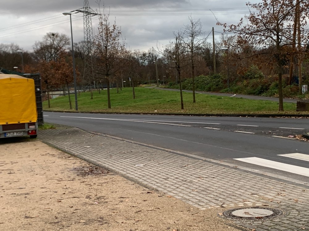 Giftköder-Fleischstücke auf der Wiese-Profilbild