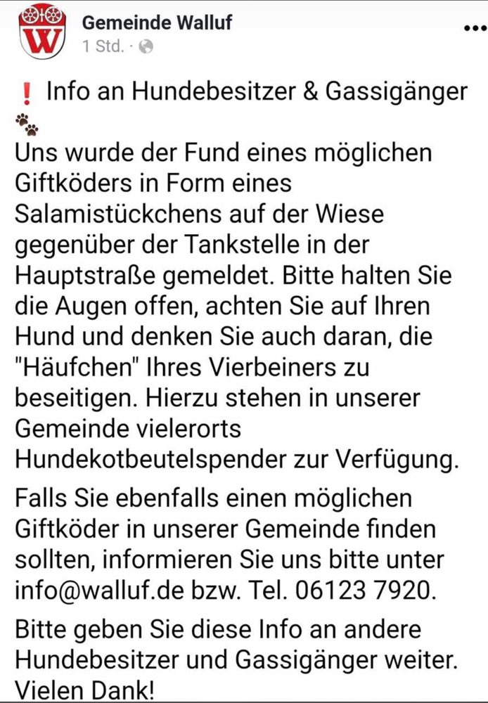 Giftköder-Möglicher Giftköder-Profilbild