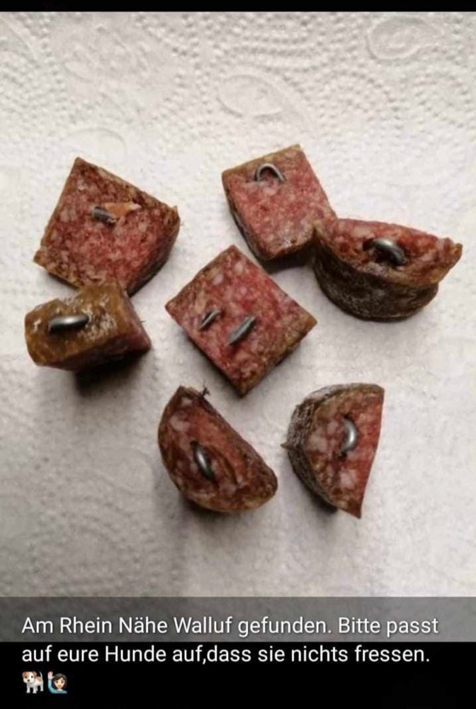 Giftköder-Niederwalluf/ Wurststücke mit Krampen-Profilbild