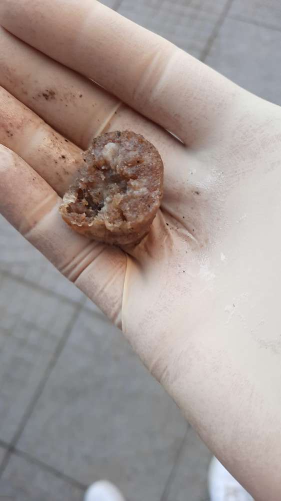 Giftköder-Vermutlicher Giftköder im Hegelweg-Profilbild